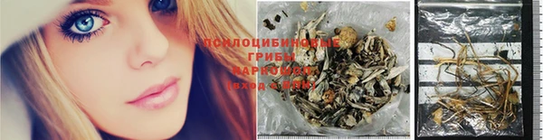 эйфоретик Новозыбков