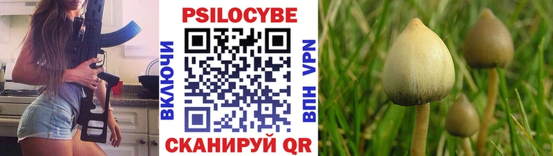 Купить закладки  Шумерля  Псилоцибиновые грибы Psilocybe 